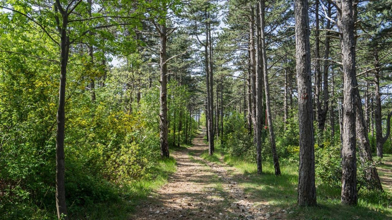 Kostrena - Sidro Leilighet Eksteriør bilde